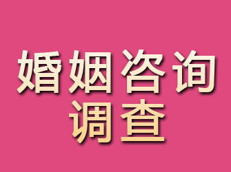 安县婚姻咨询调查