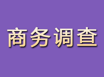 安县商务调查